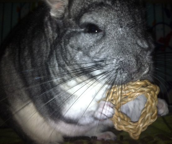 Shelly LOVES seagrass wreaths.